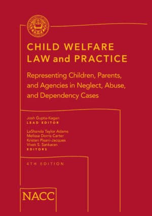 Digital Child Welfare Law and Practice (The Red Book 4th Edition) - Member Price